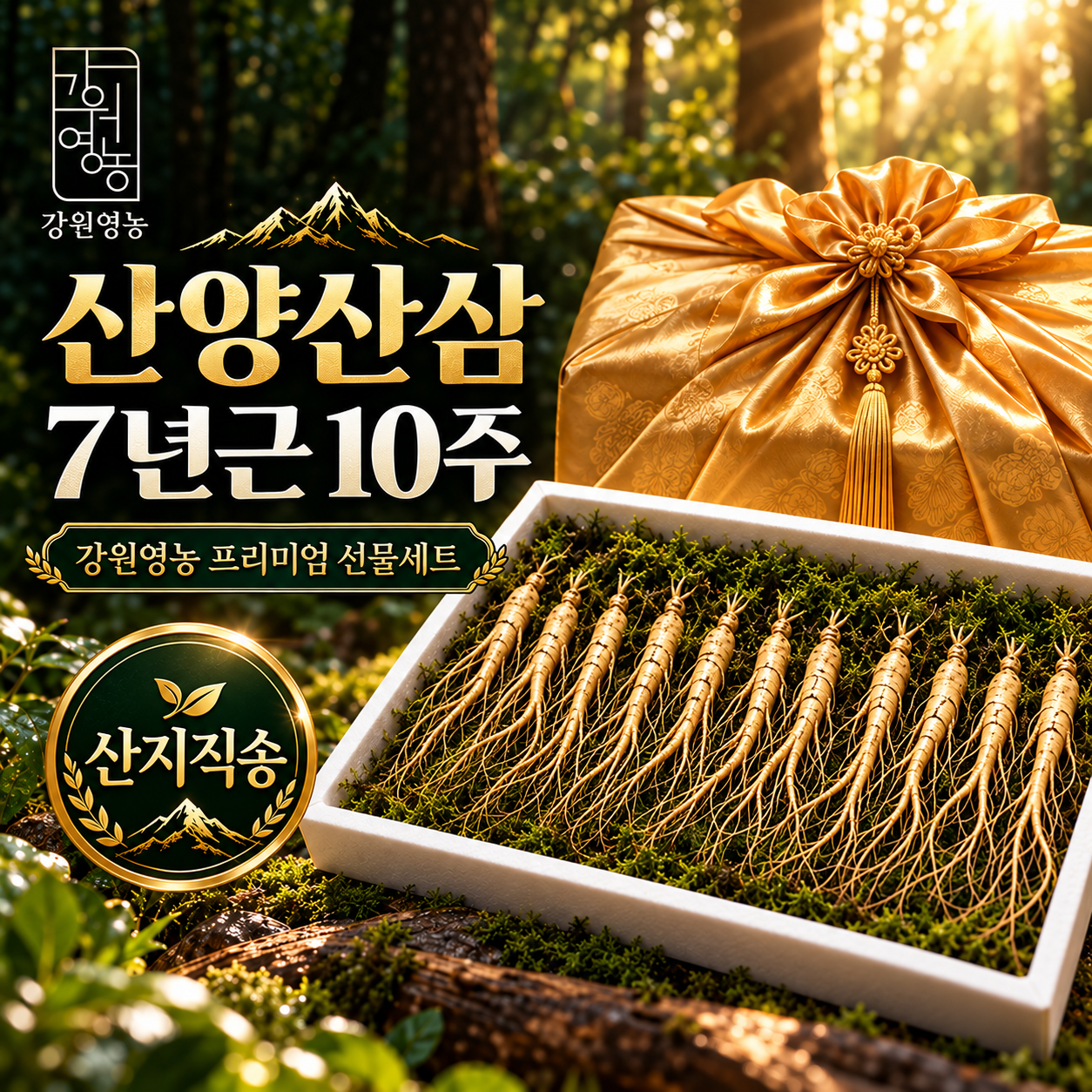산양삼 7년근 10주