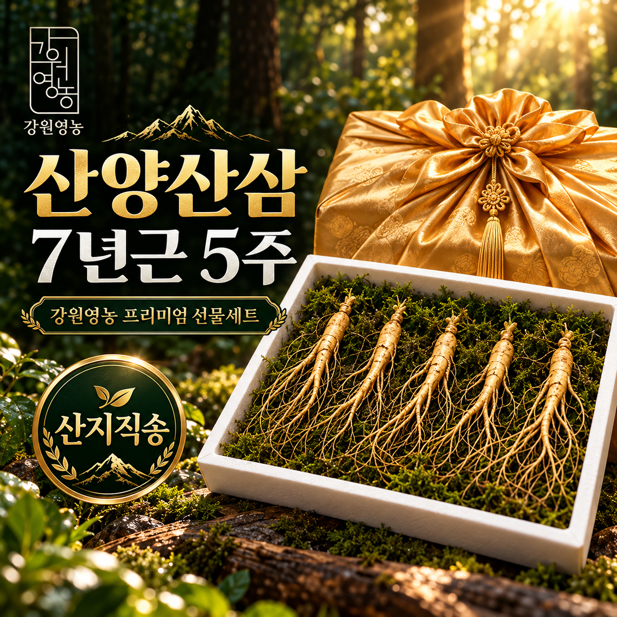 산양삼 7년근 5주